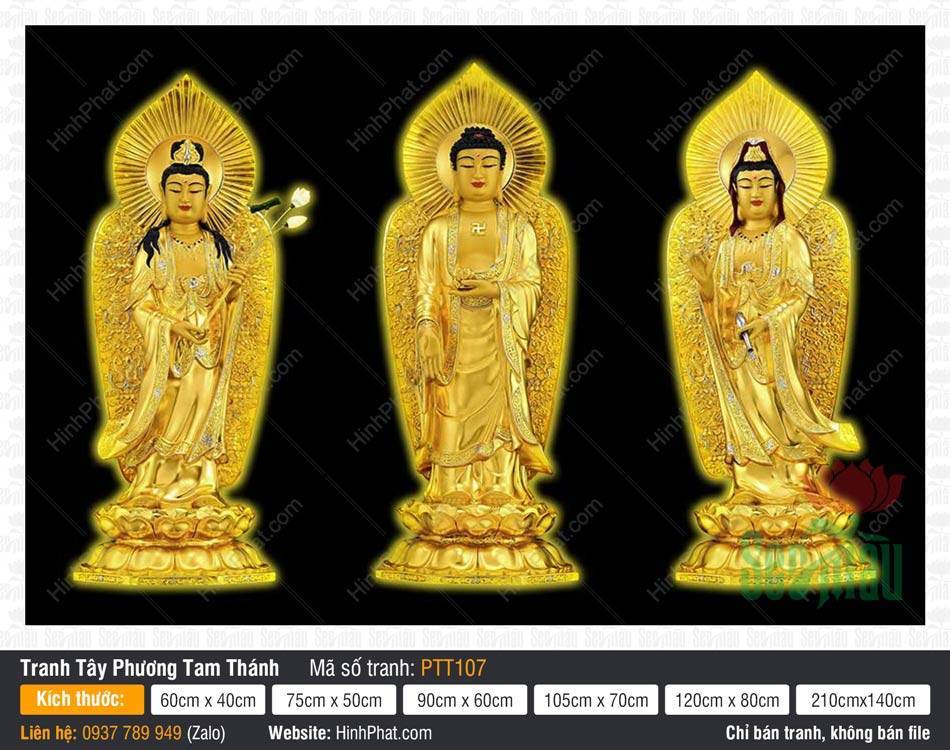 Tranh Tây Phương Tam Thánh Đẹp PTT107 Tranh Tây Phương Tam Thánh Đẹp PTT107 tôn tượng vàng kim tỏa hào quang trên nền đen huyền bí