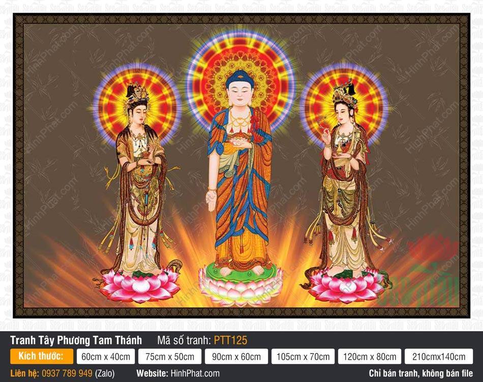 Tranh Tây Phương Tam Thánh Đẹp PTT125 Tranh Tây Phương Tam Thánh Đẹp PTT125 ba đức Phật đứng uy nghiêm trên đài sen hồng rực rỡ