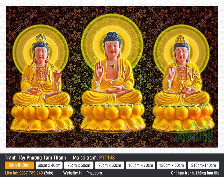 Tranh Tây Phương Tam Thánh Đẹp PTT143 Tranh Tây Phương Tam Thánh Đẹp PTT143 ba vị Phật ngồi tòa sen vàng trên nền hoa văn