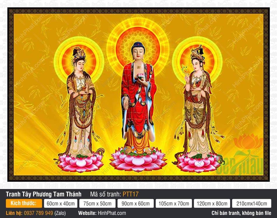Tranh Tây Phương Tam Thánh Đẹp PTT17 Tranh Tây Phương Tam Thánh Đẹp PTT17 mô tả Đức Phật và hai vị Bồ Tát đứng trên đài sen hồng