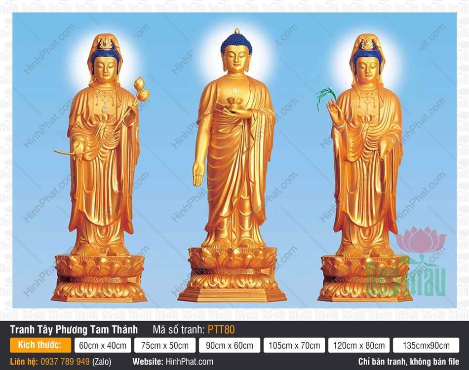 Tranh Tây Phương Tam Thánh Đẹp PTT80 Tranh Tây Phương Tam Thánh Đẹp PTT80 hình tượng đúc vàng trên nền xanh