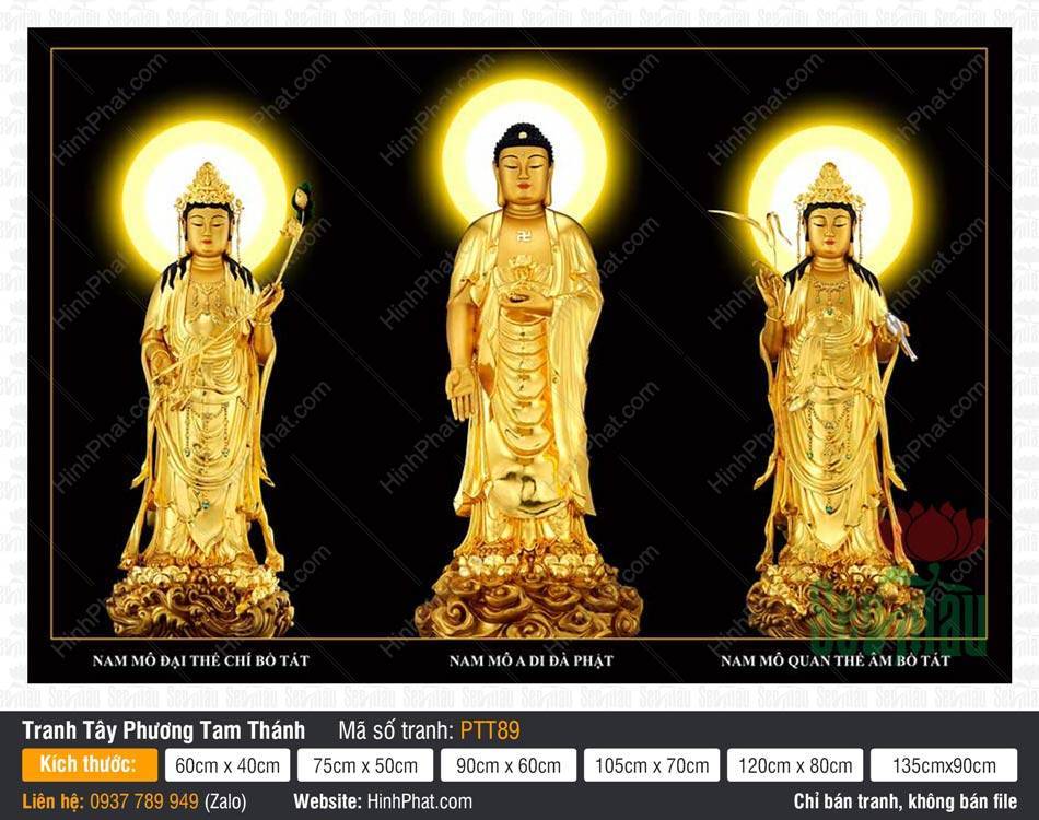 Tranh Tây Phương Tam Thánh Đẹp PTT89 Tranh Tây Phương Tam Thánh Đẹp PTT89 ba pho tượng vàng trên nền đen
