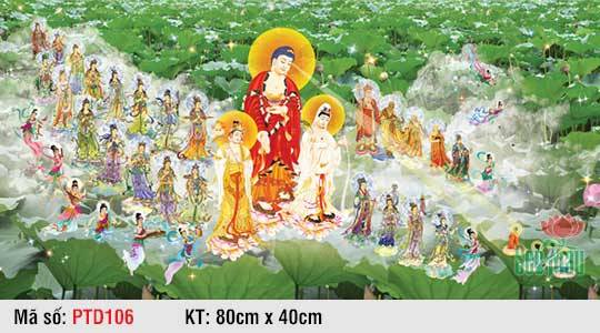 Hình Tây Phương Tiếp Dẫn Đẹp PTD106, Hình Phật Đẹp