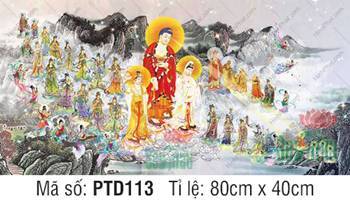 Hình Tây Phương Tiếp Dẫn PTD113, Phật và Thánh chúng ngự mây