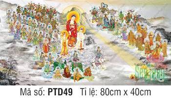 Hình Tây Phương Tiếp Dẫn PTD49, Thánh chúng hội tụ ngự mây
