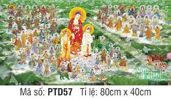 Hình Tây Phương Tiếp Dẫn PTD57, chư Phật ngự mây giữa ao liên