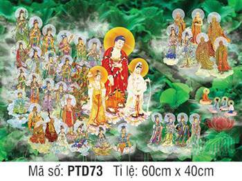 Hình Tây Phương Tiếp Dẫn PTD73, hào quang giữa rừng sen xanh