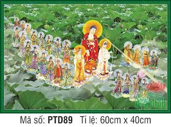 Hình Tây Phương Tiếp Dẫn PTD89, đại hội Thánh chúng giữa đầm sen