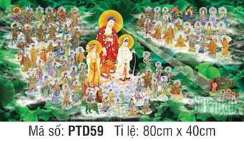 Tây Phương Tam Thánh Tiếp Dẫn PTD59, rạng rỡ hào quang giữa đầm sen