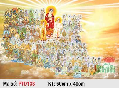 Tây Phương Tiếp Dẫn Đẹp PTD133, Hình Phật Tiếp Dẫn