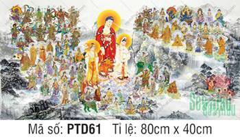 Tây Phương Tiếp Dẫn Đẹp PTD61, hào quang rực rỡ nơi tịnh độ