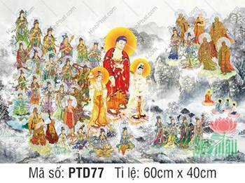 Tây Phương Tiếp Dẫn Đẹp PTD77, hào quang rực rỡ giữa mây núi