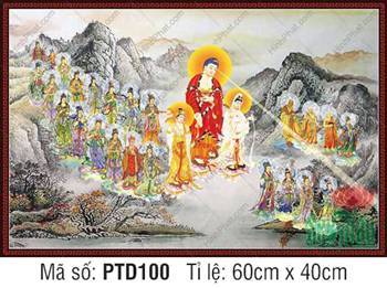 Tây Phương Tiếp Dẫn PTD100, hào quang rực rỡ nơi tịnh độ