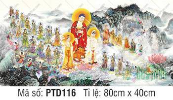 Tây Phương Tiếp Dẫn PTD116, Đức Phật A Di Đà và Thánh chúng