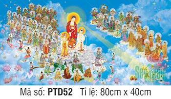 Tây Phương Tiếp dẩn PTD52, Phật A Di Đà và hải hội Thánh chúng