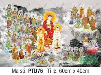 Tây Phương Tiếp Dẫn PTD76, hào quang rực rỡ ngự núi tùng