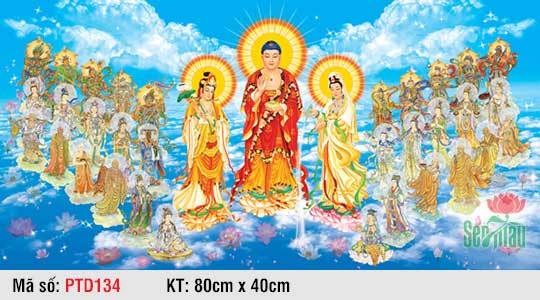 Tranh Tây Phương Tiếp Dẫn PTD134, Hình Phật Tiếp Dẫn