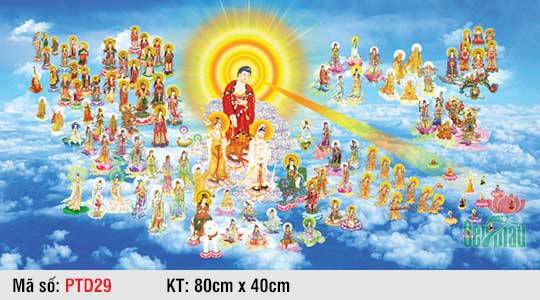 Hình Phật Tiếp Dẫn PTD29, Hình Tây Phương Tiếp Dẫn