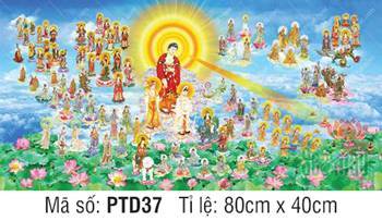 Hình Phật Tiếp Dẫn PTD37, cảnh Thánh chúng hội tụ cõi liên hoa