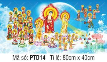 Hình Tây Phương Tiếp Dẫn PTD14, cảnh Thánh chúng ngự mây rực rỡ