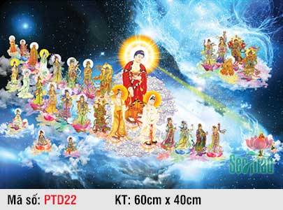 Hình Tây Phương Tiếp Dẫn PTD22, Tranh Phật Tiếp Dẫn