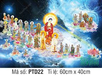 Hình Tây Phương Tiếp Dẫn PTD22, cảnh Thánh chúng giữa trời sao