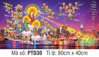 Hình Tây Phương Tiếp Dẫn PTD30, rực rỡ trên nền thành phố về đêm