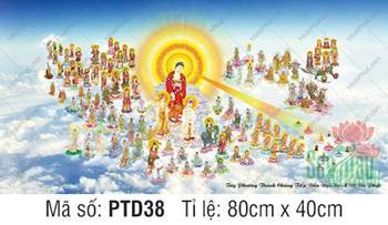 Hình Tây Phương Tiếp Dẫn PTD38, Thánh chúng ngự mây bồng bềnh