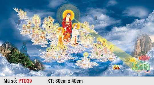 Hình Tây Phương Tiếp Dẫn PTD39, Tranh Phật Tiếp Dẫn