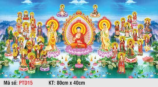 Hình Tây Phương Tiếp Dẫn Đẹp PTD15, Tranh Phật Đẹp