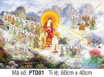 Tây Phương Tiếp Dẫn PTD01, cảnh tượng Thánh chúng tiếp độ