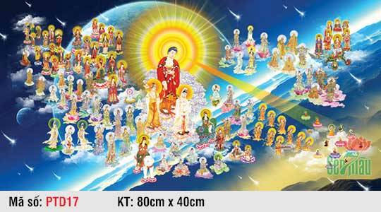 Tây Phương Tiếp Dẫn PTD17, Hình Tây Phương Tiếp Dẫn