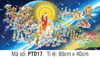 Tây Phương Tiếp Dẫn PTD17, cảnh đoàn Thánh chúng ngự mây ngũ sắc