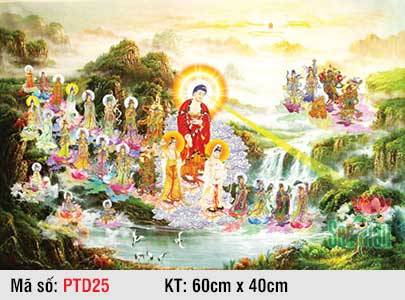 Tây Phương Tiếp Dẫn PTD25, Hình Tây Phương Tiếp Dẫn