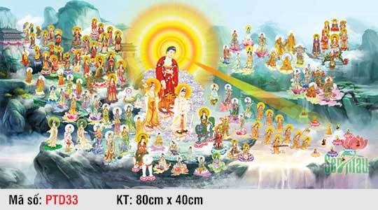 Tây Phương Tiếp Dẫn PTD33, Tranh Phật Tiếp Dẫn Đẹp