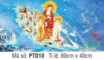 Tây Phương Tiếp Dẫn Đẹp PTD10, hào quang rực rỡ giữa trời sao