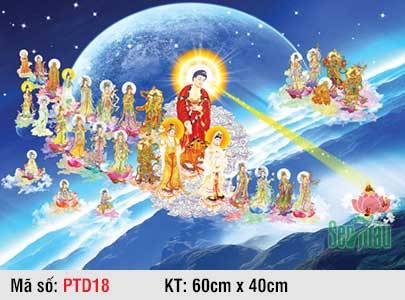 Tây Phương Tiếp Dẫn Đẹp PTD18, Tranh Phật Tiếp Dẫn