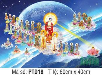 Tây Phương Tiếp Dẫn Đẹp PTD18, rạng rỡ hào quang cực lạc