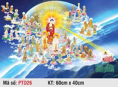 Tây Phương Tiếp Dẫn Đẹp PTD26, Tranh Phật Tiếp Dẫn