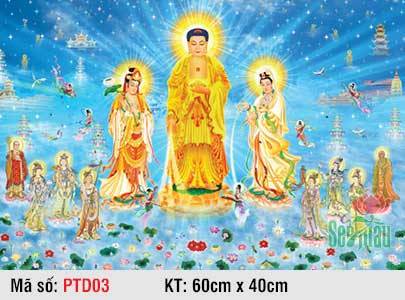 Tranh Tây Phương Tiếp Dẫn PTD03, A Di Đà Tiếp Dẫn
