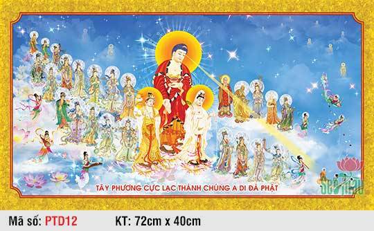 Tranh Tây Phương Tiếp Dẫn Đẹp PTD12, Hình Phật Đẹp