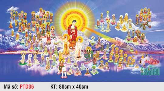 Tranh Tây Phương Tiếp Dẫn Đẹp PTD36, Hình Phật Đẹp
