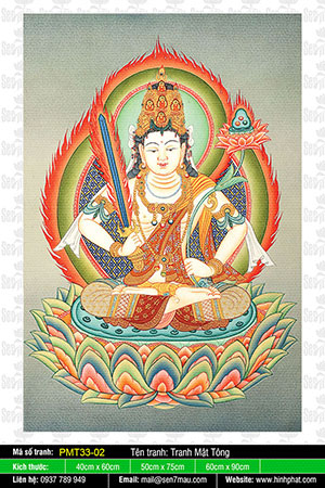Akasagarbha PMT33-02