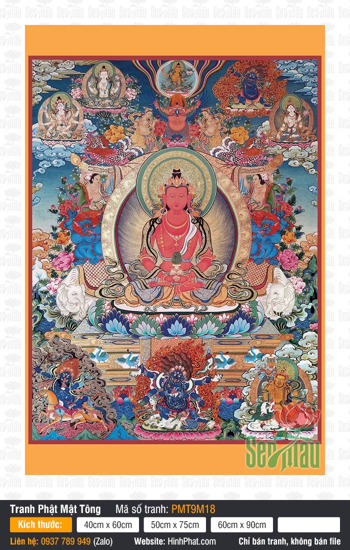 Amitayus PMT9M18 Tranh thangka Amitayus PMT9M18 phác họa Đức Phật Vô Lượng Thọ ngự giữa chư vị Hộ pháp