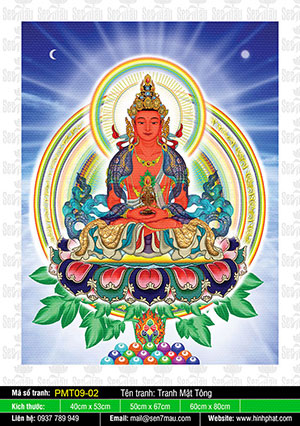 Đức Phật Vô Lượng Thọ PMT09-02