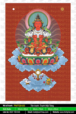 Đức Phật Vô Lượng Thọ PMT09-05