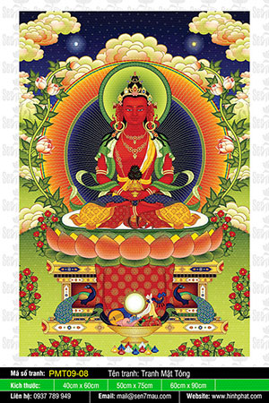 Đức Phật Vô Lượng Thọ PMT09-08