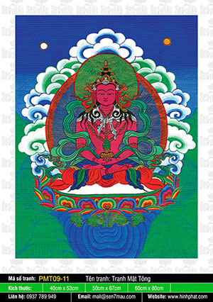 Đức Phật Vô Lượng Thọ PMT09-11