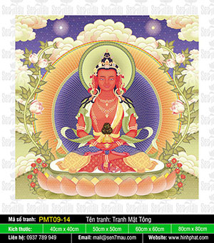 Đức Phật Vô Lượng Thọ PMT09-14