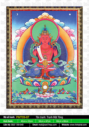 Phật Vô Lượng Thọ PMT09-07